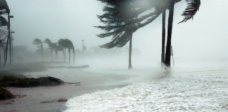 Ciclones e ondas de calor deixam alerta: futuras catástrofes podem superar toda a memória histórica Ciclones e ondas de calor deixam alerta: futuras catástrofes podem superar toda a memória histórica