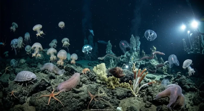 Metas globais de biodiversidade chegam à reta decisiva com avanços em Nairóbi e lacunas até 2030