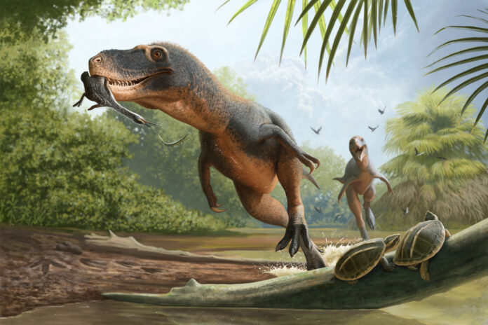 Pena fossilizada em cocô de dinossauro preserva pista sobre as aves que sobreviveram à extinção