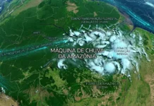 Seca e desmatamento reduzem a “máquina de chuva” da Amazônia e ameaçam água, energia e alimentos Seca e desmatamento reduzem a “máquina de chuva” da Amazônia e ameaçam água, energia e alimentos