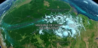 Seca e desmatamento reduzem a “máquina de chuva” da Amazônia e ameaçam água, energia e alimentos Seca e desmatamento reduzem a “máquina de chuva” da Amazônia e ameaçam água, energia e alimentos