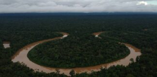 Entradas sem autorização no Vale do Javari expõem Marubo a riscos sanitários e pressão religiosa, diz MPF Entradas sem autorização no Vale do Javari expõem Marubo a riscos sanitários e pressão religiosa, diz MPF