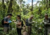 Expedição coleta microrganismos em 22 plantas da Mata Atlântica e cria acervo para futuras soluções Expedição coleta microrganismos em 22 plantas da Mata Atlântica e cria acervo para futuras soluções