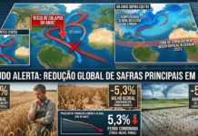 Correntes do Atlântico em risco podem reduzir trigo, milho e arroz em 5,3% após 50 anos, aponta estudo Correntes do Atlântico em risco podem reduzir trigo, milho e arroz em 5,3% após 50 anos, aponta estudo