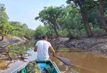 Em mais de 700 mil km², calor extremo acelera a seca, reduz o nível dos rios, favorece incêndios e pode afetar o açaí Em mais de 700 mil km², calor extremo acelera a seca, reduz o nível dos rios, favorece incêndios e pode afetar o açaí