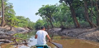 Em mais de 700 mil km², calor extremo acelera a seca, reduz o nível dos rios, favorece incêndios e pode afetar o açaí Em mais de 700 mil km², calor extremo acelera a seca, reduz o nível dos rios, favorece incêndios e pode afetar o açaí