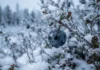Fruta que resiste a -50 °C fica mais doce ao amadurecer e revela estratégia genética contra o frio Fruta que resiste a -50 °C fica mais doce ao amadurecer e revela estratégia genética contra o frio