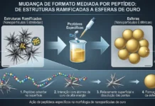 Peptídeos mudam o formato de nanopartículas de ouro e fazem estruturas ramificadas virarem esferas Peptídeos mudam o formato de nanopartículas de ouro e fazem estruturas ramificadas virarem esferas