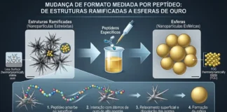 Peptídeos mudam o formato de nanopartículas de ouro e fazem estruturas ramificadas virarem esferas Peptídeos mudam o formato de nanopartículas de ouro e fazem estruturas ramificadas virarem esferas