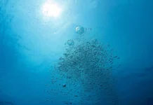 O oxigênio desaparece de oceanos, rios e lagos, conecta cinco crises ambientais e pode mudar a vida aquática O oxigênio desaparece de oceanos, rios e lagos, conecta cinco crises ambientais e pode mudar a vida aquática