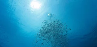O oxigênio desaparece de oceanos, rios e lagos, conecta cinco crises ambientais e pode mudar a vida aquática O oxigênio desaparece de oceanos, rios e lagos, conecta cinco crises ambientais e pode mudar a vida aquática