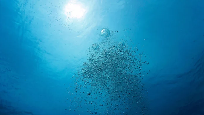 O oxigênio desaparece de oceanos, rios e lagos, conecta cinco crises ambientais e pode mudar a vida aquática O oxigênio desaparece de oceanos, rios e lagos, conecta cinco crises ambientais e pode mudar a vida aquática