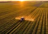 Estudo mapeia 42 anos de fertilizantes e aponta como produzir mais comida com menos poluição Estudo mapeia 42 anos de fertilizantes e aponta como produzir mais comida com menos poluição