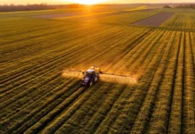 Estudo mapeia 42 anos de fertilizantes e aponta como produzir mais comida com menos poluição Estudo mapeia 42 anos de fertilizantes e aponta como produzir mais comida com menos poluição