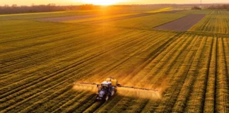Estudo mapeia 42 anos de fertilizantes e aponta como produzir mais comida com menos poluição Estudo mapeia 42 anos de fertilizantes e aponta como produzir mais comida com menos poluição