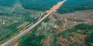 Estudo com satélites mostra que notas ESG refletem mais imagem pública que perda real de floresta em 13.841 empresas Estudo com satélites mostra que notas ESG refletem mais imagem pública que perda real de floresta em 13.841 empresas