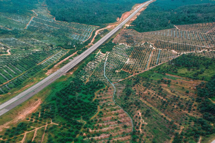Estudo com satélites mostra que notas ESG refletem mais imagem pública que perda real de floresta em 13.841 empresas Estudo com satélites mostra que notas ESG refletem mais imagem pública que perda real de floresta em 13.841 empresas