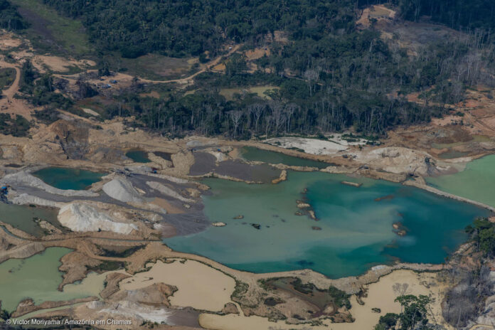 Garimpo cresce 562% em terras indígenas, contamina bacias e agrava secas que já ameaçam comunidades Garimpo cresce 562% em terras indígenas, contamina bacias e agrava secas que já ameaçam comunidades