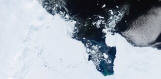 Satélites revelam perda de 11,3 trilhões de toneladas de gelo e avanço do mar desde os anos 1970 Satélites revelam perda de 11,3 trilhões de toneladas de gelo e avanço do mar desde os anos 1970