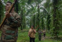 Colômbia e Brasil concentram perdas de defensores ambientais e expõem risco em áreas de floresta Colômbia e Brasil concentram perdas de defensores ambientais e expõem risco em áreas de floresta