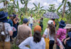 Agrofloresta no Careiro recebe 30 participantes e expõe como áreas degradadas viram produção para Manaus Agrofloresta no Careiro recebe 30 participantes e expõe como áreas degradadas viram produção para Manaus