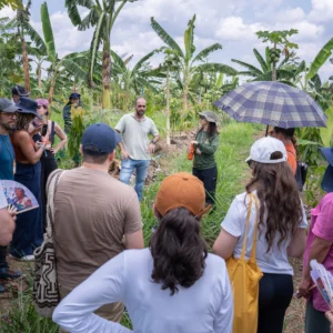 Agrofloresta no Careiro recebe 30 participantes e expõe como áreas degradadas viram produção para Manaus Agrofloresta no Careiro recebe 30 participantes e expõe como áreas degradadas viram produção para Manaus