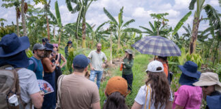 Agrofloresta no Careiro recebe 30 participantes e expõe como áreas degradadas viram produção para Manaus Agrofloresta no Careiro recebe 30 participantes e expõe como áreas degradadas viram produção para Manaus
