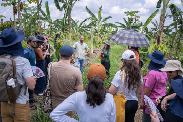 Agrofloresta no Careiro recebe 30 participantes e expõe como áreas degradadas viram produção para Manaus Agrofloresta no Careiro recebe 30 participantes e expõe como áreas degradadas viram produção para Manaus
