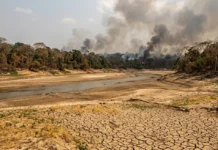 El Niño de 2026 aumenta a pressão sobre a Amazônia e estudo aponta onde proteger floresta e carbono El Niño de 2026 aumenta a pressão sobre a Amazônia e estudo aponta onde proteger floresta e carbono