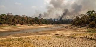 El Niño de 2026 aumenta a pressão sobre a Amazônia e estudo aponta onde proteger floresta e carbono El Niño de 2026 aumenta a pressão sobre a Amazônia e estudo aponta onde proteger floresta e carbono