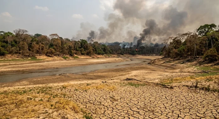 El Niño de 2026 aumenta a pressão sobre a Amazônia e estudo aponta onde proteger floresta e carbono El Niño de 2026 aumenta a pressão sobre a Amazônia e estudo aponta onde proteger floresta e carbono