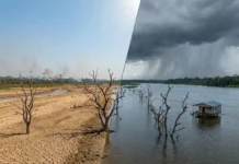 Seca e enchente passam a se alternar no mesmo território, e o clima extremo muda a rotina na Amazônia Seca e enchente passam a se alternar no mesmo território, e o clima extremo muda a rotina na Amazônia