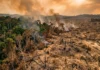 Florestas em colapso podem elevar o aquecimento em 30% e acrescentar até 0,4°C ao fim do século Florestas em colapso podem elevar o aquecimento em 30% e acrescentar até 0,4°C ao fim do século