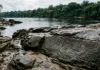 Rio Negro perde 3,16 metros em agosto e a seca pode expor novamente gravuras de até dois mil anos no sítio das Lajes Rio Negro perde 3,16 metros em agosto e a seca pode expor novamente gravuras de até dois mil anos no sítio das Lajes
