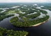 Mariuá reúne mais de 1.400 ilhas no rio Negro e forma um arquipélago fluvial que se estende por 140 quilômetros no Amazonas Mariuá reúne mais de 1.400 ilhas no rio Negro e forma um arquipélago fluvial que se estende por 140 quilômetros no Amazonas