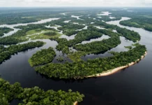 Mariuá reúne mais de 1.400 ilhas no rio Negro e forma um arquipélago fluvial que se estende por 140 quilômetros no Amazonas Mariuá reúne mais de 1.400 ilhas no rio Negro e forma um arquipélago fluvial que se estende por 140 quilômetros no Amazonas