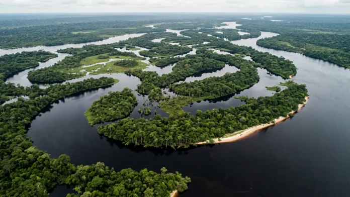 Mariuá reúne mais de 1.400 ilhas no rio Negro e forma um arquipélago fluvial que se estende por 140 quilômetros no Amazonas