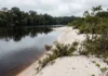 Maior rio de água preta do mundo, Rio Negro drena areia branca, recebe ácidos húmicos e mantém pH entre 3,8 e 4,9 Maior rio de água preta do mundo, Rio Negro drena areia branca, recebe ácidos húmicos e mantém pH entre 3,8 e 4,9