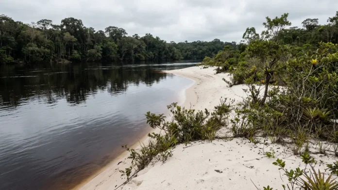 Maior rio de água preta do mundo, Rio Negro drena areia branca, recebe ácidos húmicos e mantém pH entre 3,8 e 4,9 Maior rio de água preta do mundo, Rio Negro drena areia branca, recebe ácidos húmicos e mantém pH entre 3,8 e 4,9