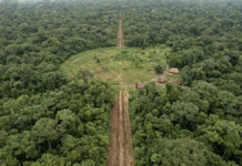 Aldeias do Alto Xingu eram ligadas por estradas de até 50 metros e Kuhikugu pode ter reunido 50 mil pessoas Aldeias do Alto Xingu eram ligadas por estradas de até 50 metros e Kuhikugu pode ter reunido 50 mil pessoas
