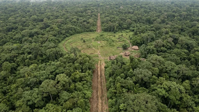 Aldeias do Alto Xingu eram ligadas por estradas de até 50 metros e Kuhikugu pode ter reunido 50 mil pessoas