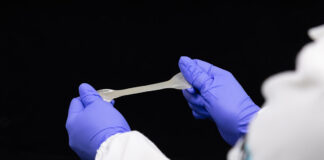 Resíduo de cânhamo vira reforço para plástico biodegradável e eleva resistência do filme em 26,2% Resíduo de cânhamo vira reforço para plástico biodegradável e eleva resistência do filme em 26,2%