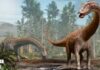 Fóssil de dinossauro de 25 metros encontrado na Espanha sugere que o Diplodocus cruzou continentes Fóssil de dinossauro de 25 metros encontrado na Espanha sugere que o Diplodocus cruzou continentes