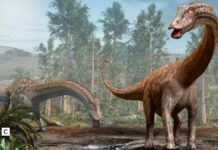 Fóssil de dinossauro de 25 metros encontrado na Espanha sugere que o Diplodocus cruzou continentes Fóssil de dinossauro de 25 metros encontrado na Espanha sugere que o Diplodocus cruzou continentes