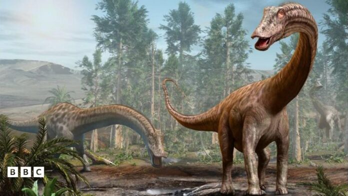 Fóssil de dinossauro de 25 metros encontrado na Espanha sugere que o Diplodocus cruzou continentes Fóssil de dinossauro de 25 metros encontrado na Espanha sugere que o Diplodocus cruzou continentes