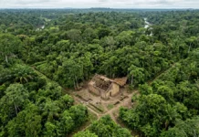 Laser sobrevoa Rondônia e encontra sob a mata a cidade colonial de Lamego, com ruas traçadas e uma casa de pau a pique Laser sobrevoa Rondônia e encontra sob a mata a cidade colonial de Lamego, com ruas traçadas e uma casa de pau a pique