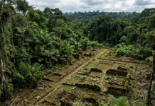 Cidade planejada é identificada perto do Real Forte Príncipe da Beira e revela como a Amazônia interior foi submetida a controle militar Cidade planejada é identificada perto do Real Forte Príncipe da Beira e revela como a Amazônia interior foi submetida a controle militar
