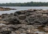 Rio Negro baixa em Manaus, seca expõe rostos humanos gravados em pedra há cerca de dois mil anos nas Lajes Rio Negro baixa em Manaus, seca expõe rostos humanos gravados em pedra há cerca de dois mil anos nas Lajes