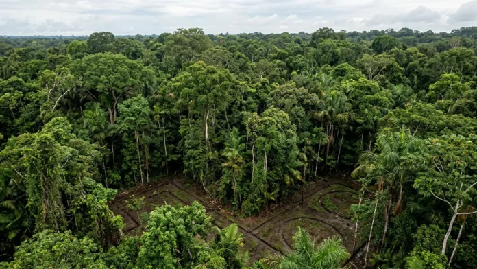 Levantamentos remotos revelam milhares de estruturas de terra sob a floresta e indicam que sociedades amazônicas construíram paisagens em grande escala Levantamentos remotos revelam milhares de estruturas de terra sob a floresta e indicam que sociedades amazônicas construíram paisagens em grande escala