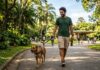Lei Espanhola pune sofrimento de cães e gatos com multa de até 200 mil euros Lei Espanhola pune sofrimento de cães e gatos com multa de até 200 mil euros